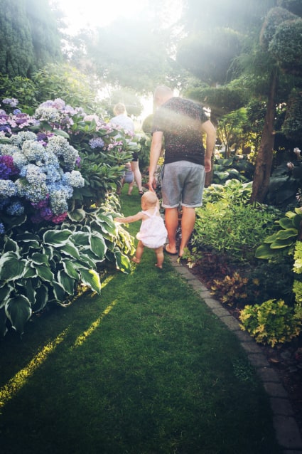 O zachodzie słońca w ogrodzie.