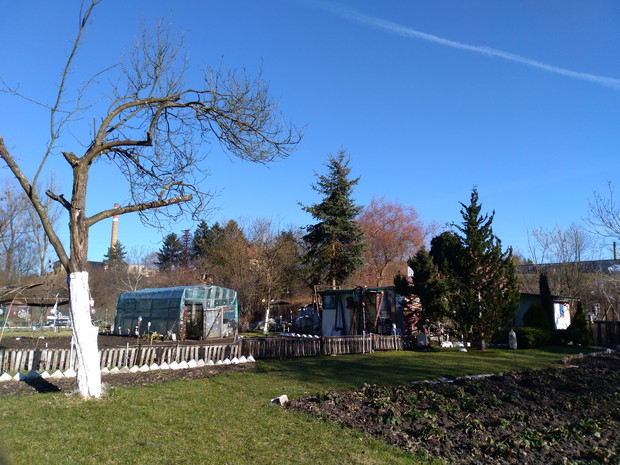 Ogród wczesną wiosną