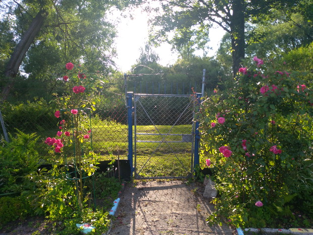 Piękna bramka do krainy czarów