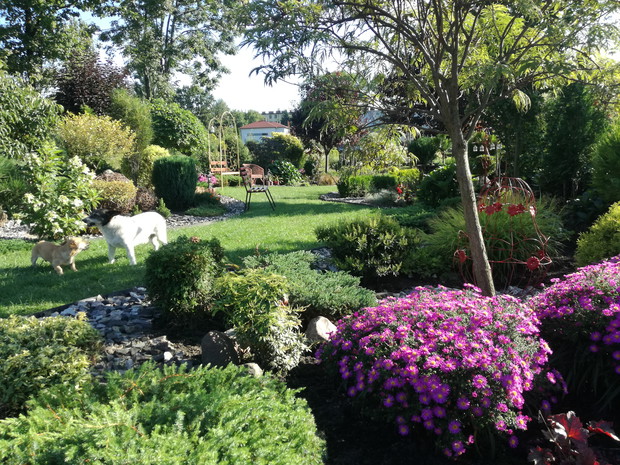 Pierwsze zwiastuny jesieni