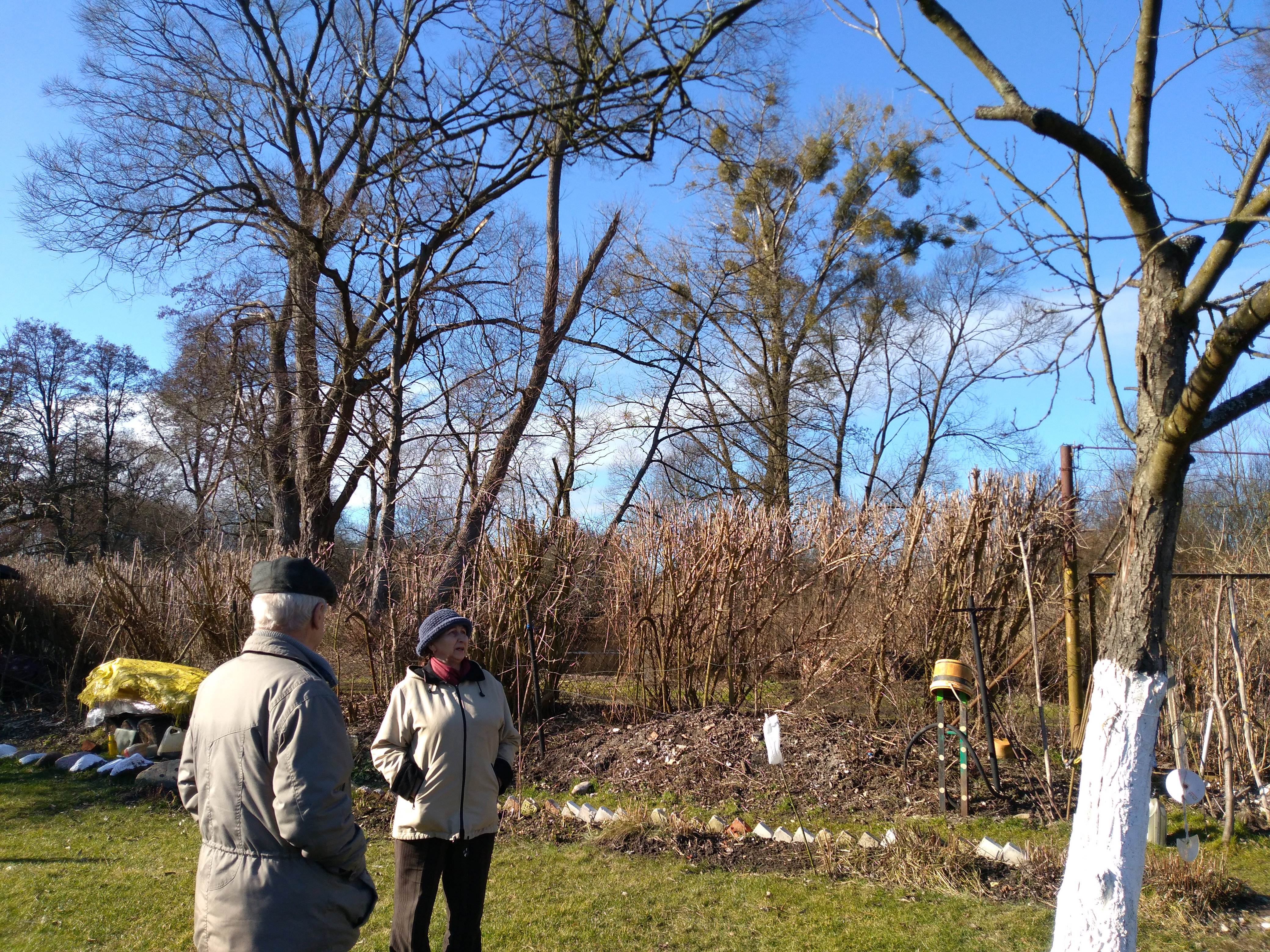 Przygotowania do wiosny