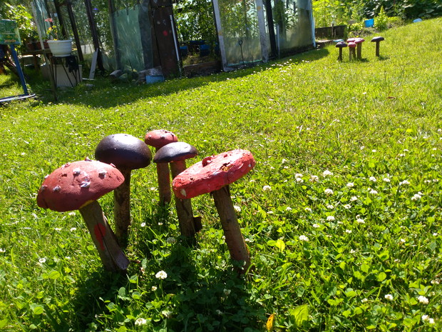 Ręcznie robione grzyby z drewna