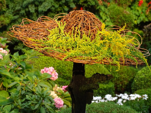 Rodzinny konkurs ogrodniczy 2019