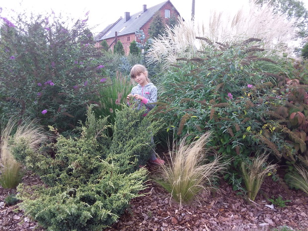 Rodzinny konkurs ogrodniczy