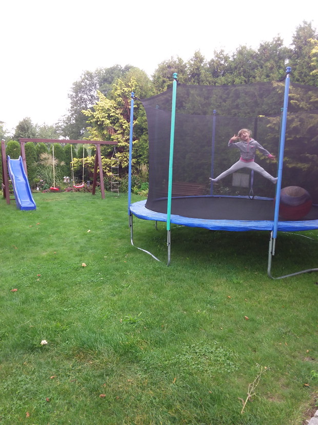 Rodzinny konkurs ogrodniczy