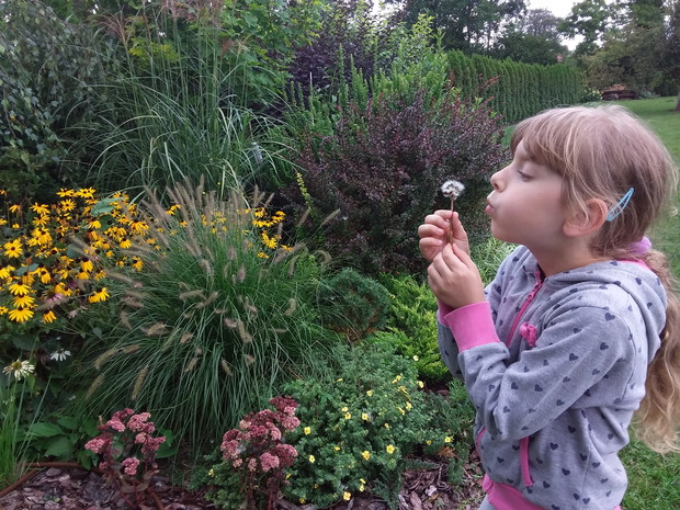 Rodzinny konkurs ogrodniczy