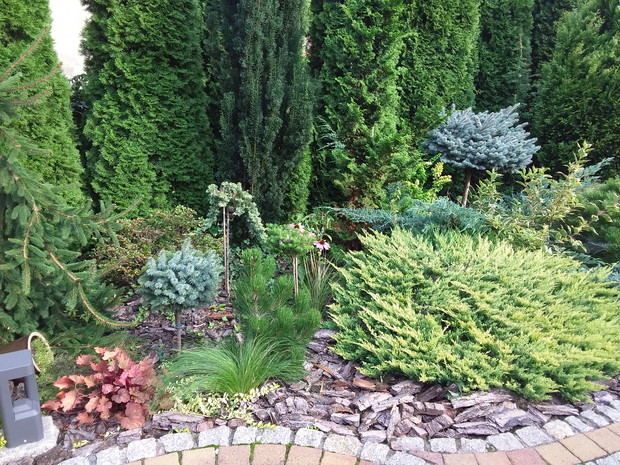 Rodzinny konkurs ogrodniczy