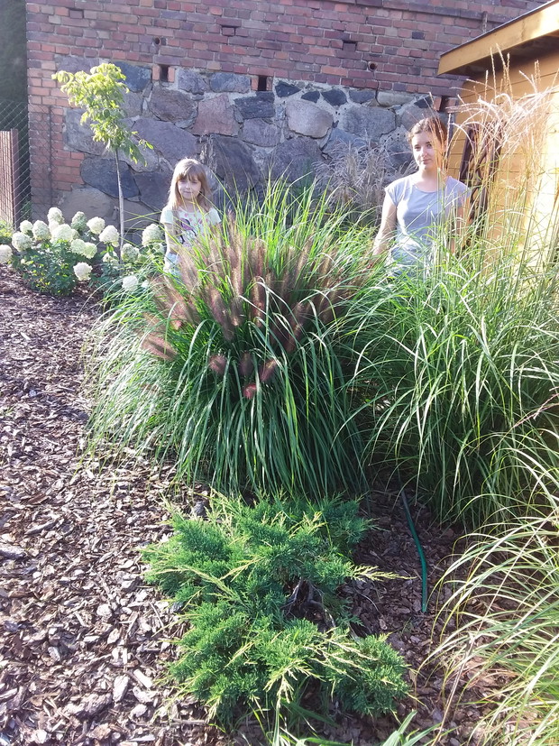 Rodzinny konkurs ogrodniczy