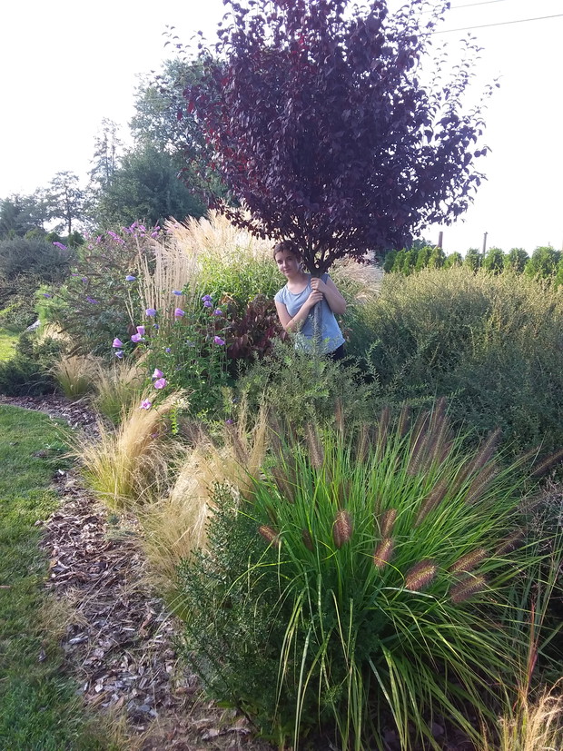 Rodzinny konkurs ogrodniczy