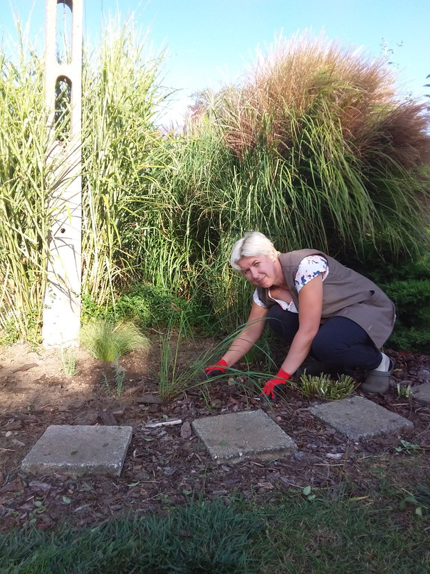 Rodzinny konkurs ogrodniczy