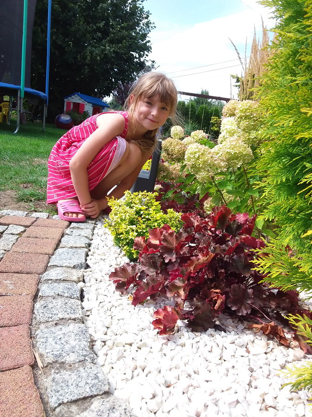 Rodzinny konkurs ogrodniczy