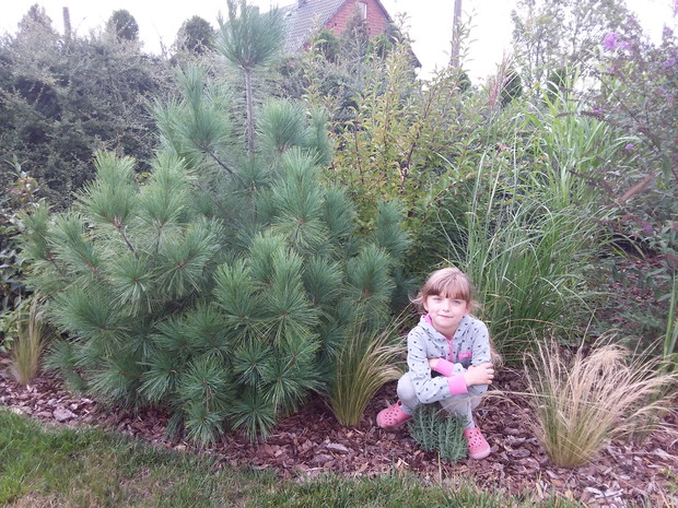 Rodzinny konkurs ogrodniczy