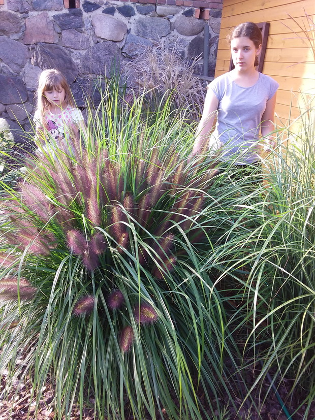 Rodzinny konkurs ogrodniczy