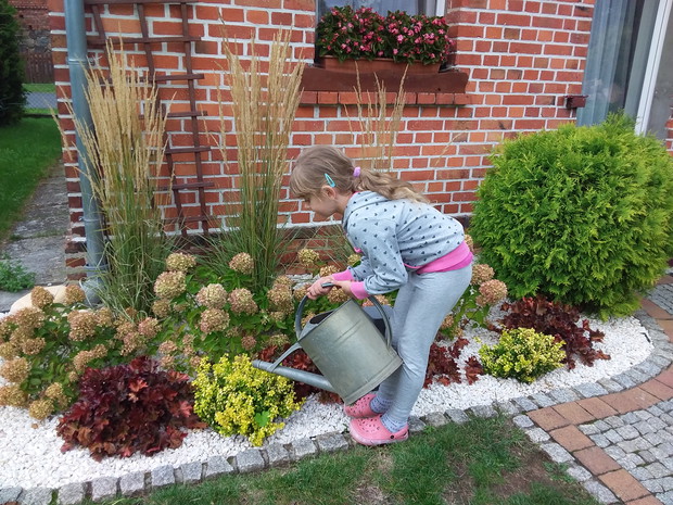 Rodzinny konkurs ogrodniczy