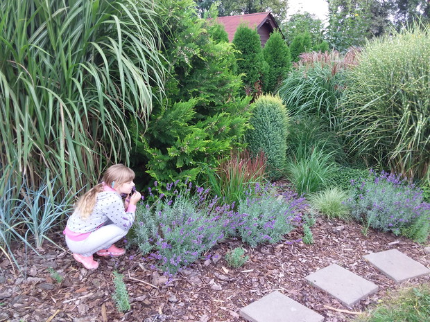 Rodzinny konkurs ogrodniczy