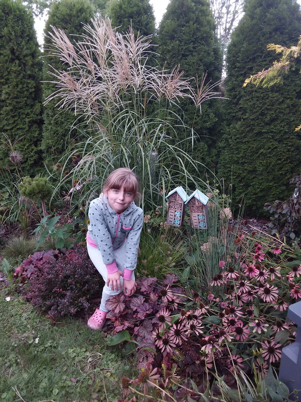 Rodzinny konkurs ogrodniczy