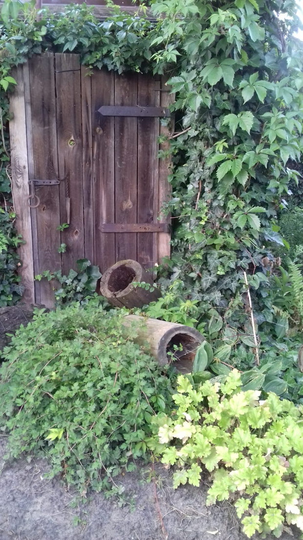 Satre drzwi z stodoły