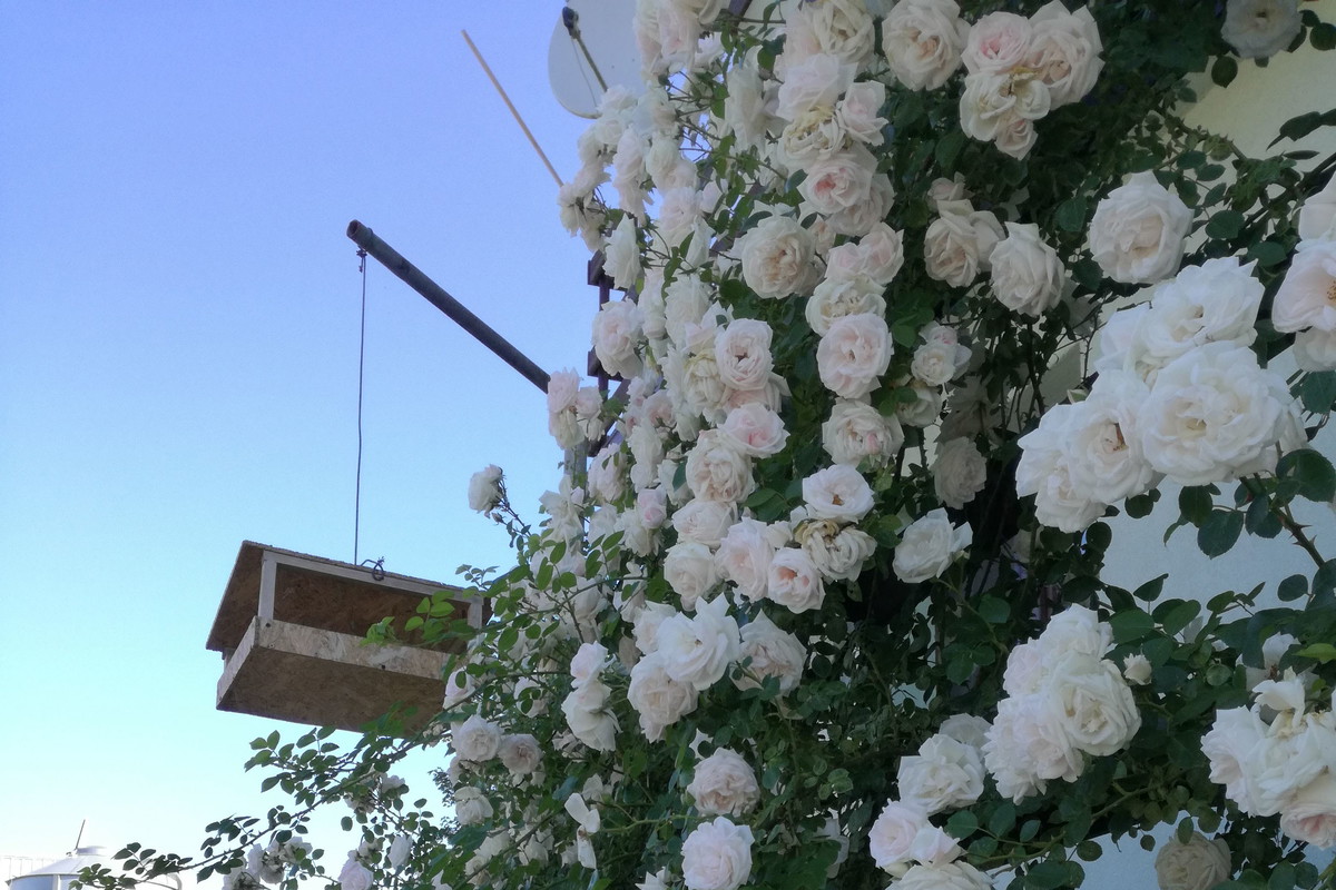 Suwalska kraina czarów