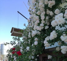 Suwalska kraina czarów