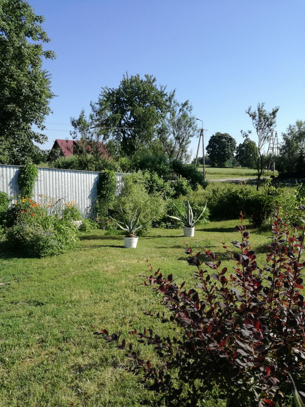 Suwalska kraina czarów