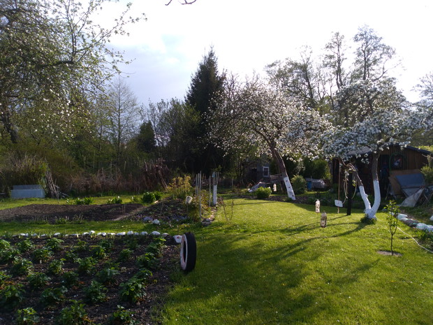 Wiosna to najpiękniejsza pora roku