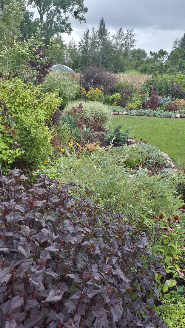 Wrzesień na rabacie