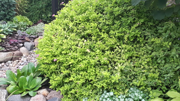 Wrzesień na rabacie