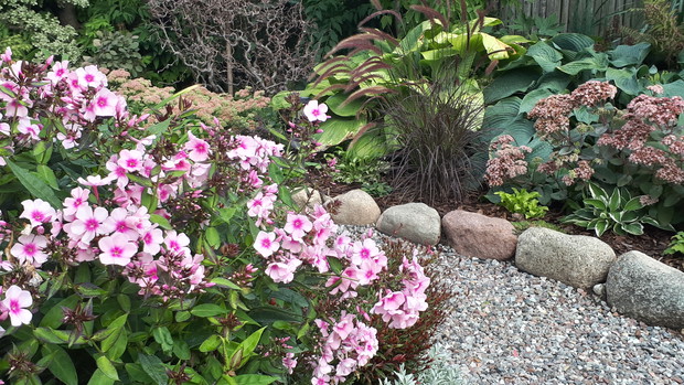 Wrzesień na rabacie