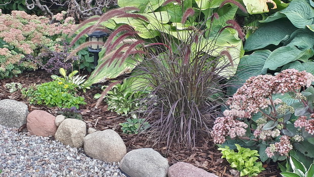 Wrzesień na rabacie