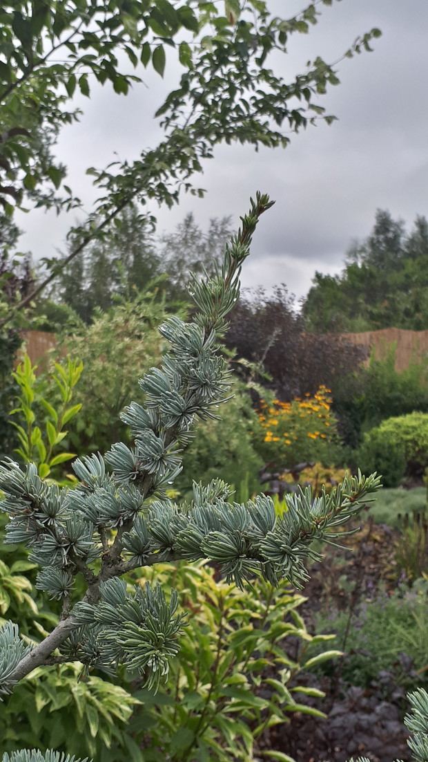Wrzesień na rabacie