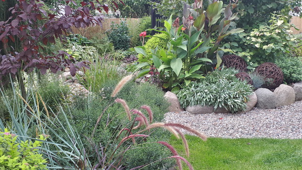 Wrzesień w ogrodzie