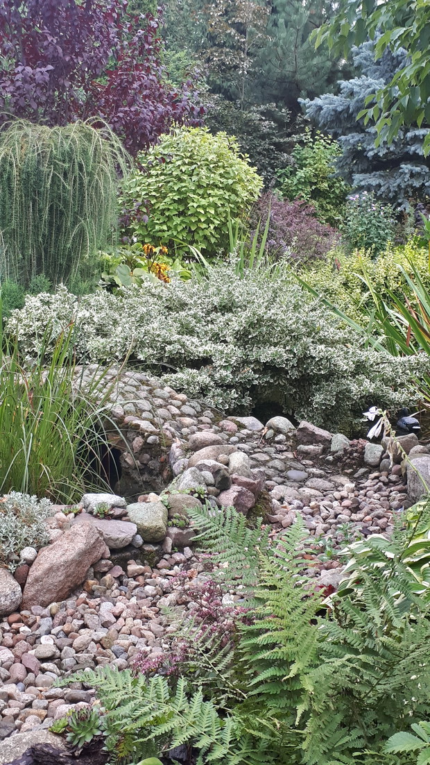 Za stawkiem, wrzesień