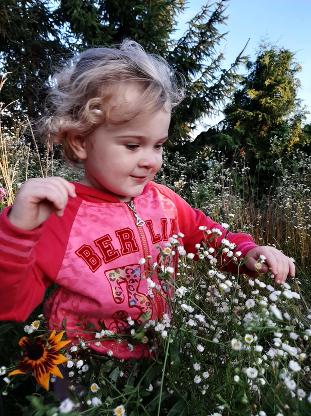 Suwalska kraina czarów