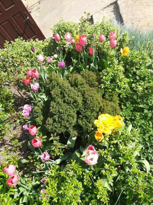 Suwalska kraina czarów