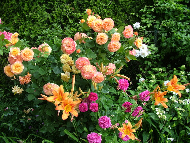 Eksplozja kolorów i zapachów