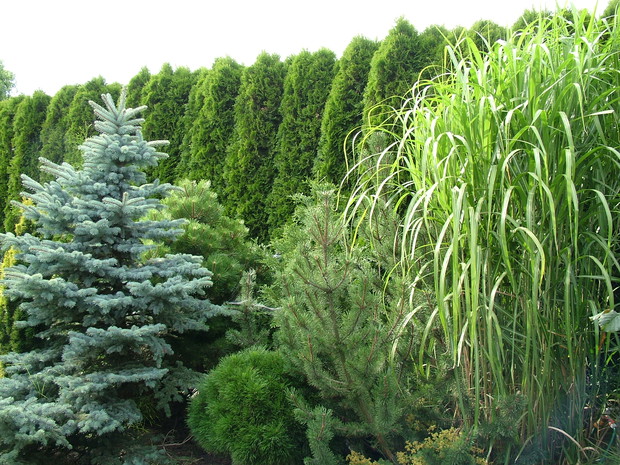 Eksplozja kolorów i zapachów