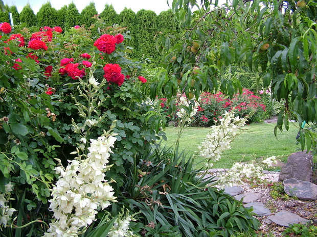 Eksplozja kolorów i zapachów