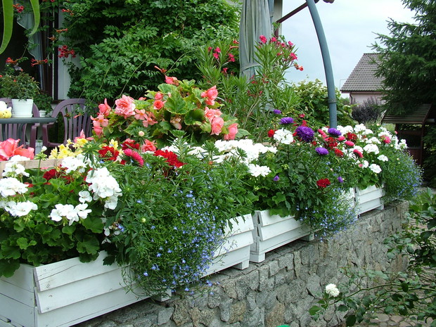 Eksplozja kolorów i zapachów