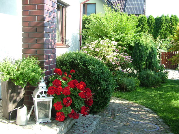 Eksplozja kolorów i zapachów