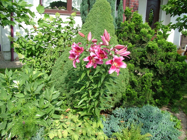 Eksplozja kolorów i zapachów