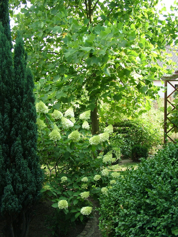 Eksplozja kolorów i zapachów