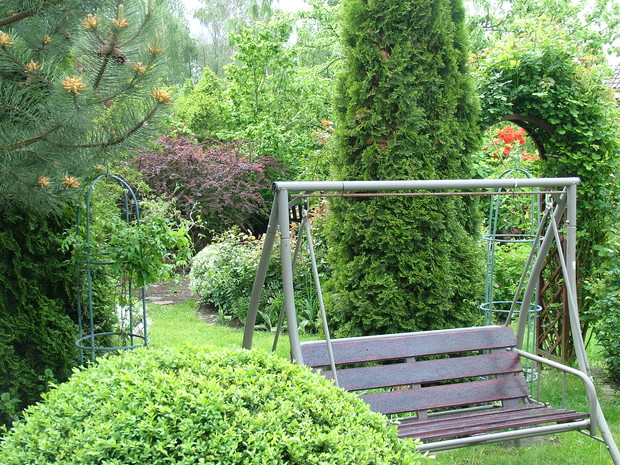 Eksplozja kolorów i zapachów