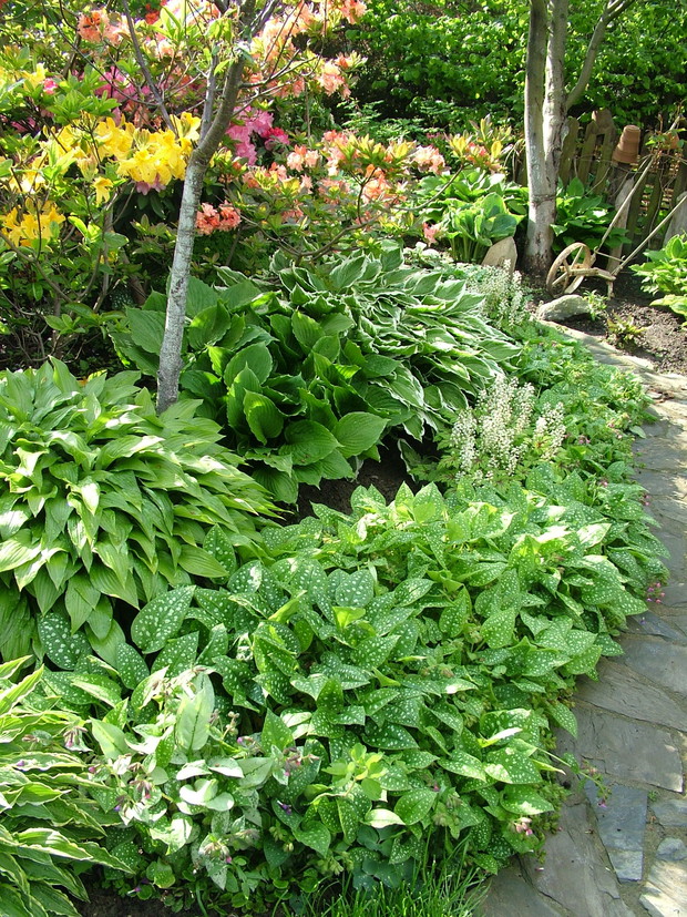 Eksplozja kolorów i zapachów