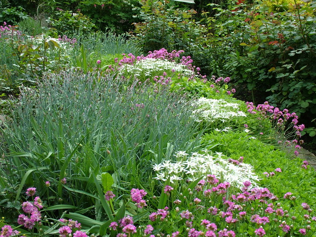 Eksplozja kolorów i zapachów