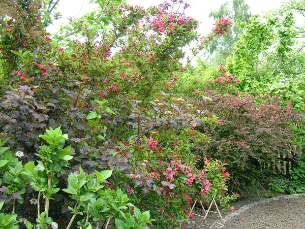 Eksplozja kolorów i zapachów