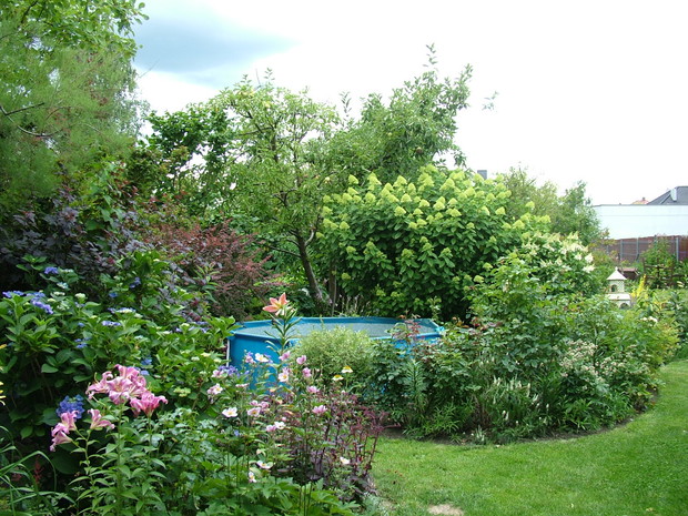 Eksplozja kolorów i zapachów