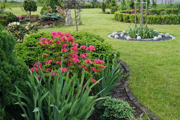 Fragment ogrodu wiosną