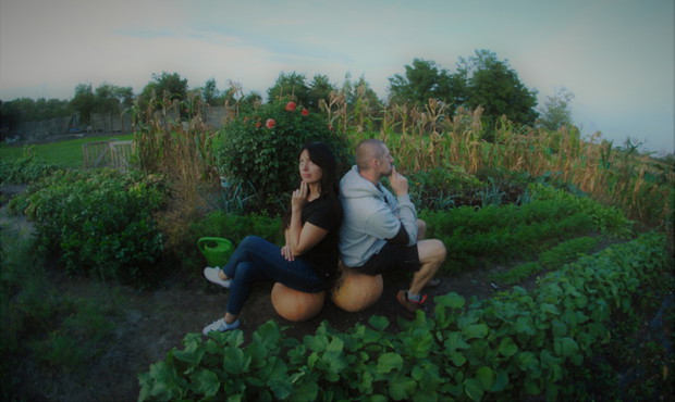 I co my z tą dynią zrobimy ?