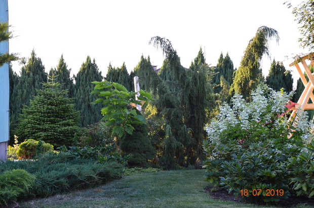 Jak miło pospacerować