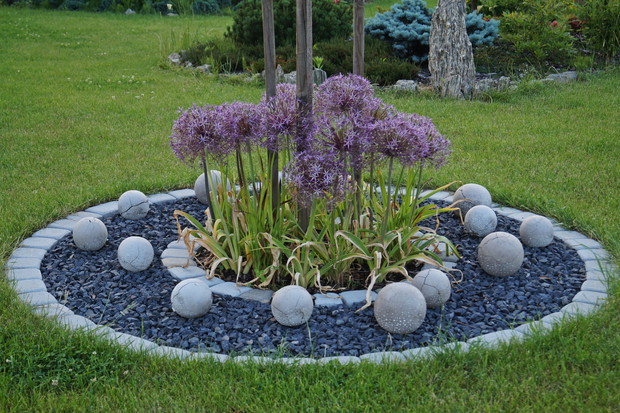 Kulista rabata wiosną